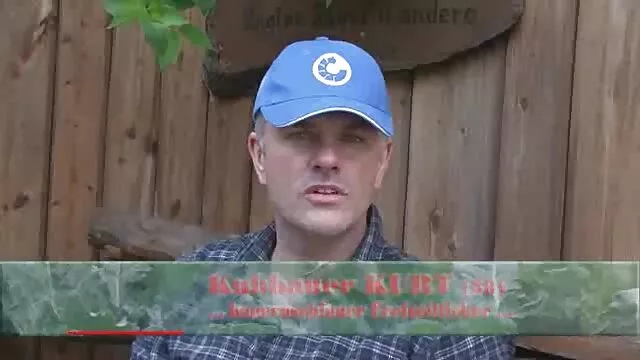 Álmos álmos ember reggelivel sex pornó filmek