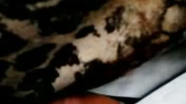 A párt egy vidéki házban sex csajok bulizik